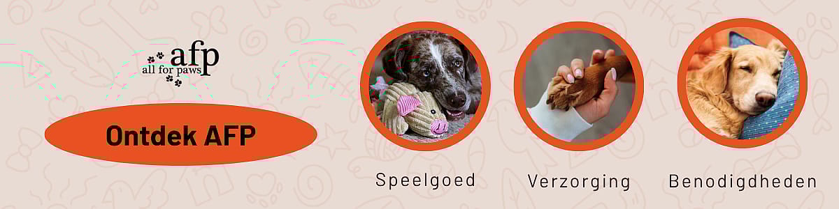 Hond, Zoogdier, Huisdier, Hond, Zoogdier, Huisdier